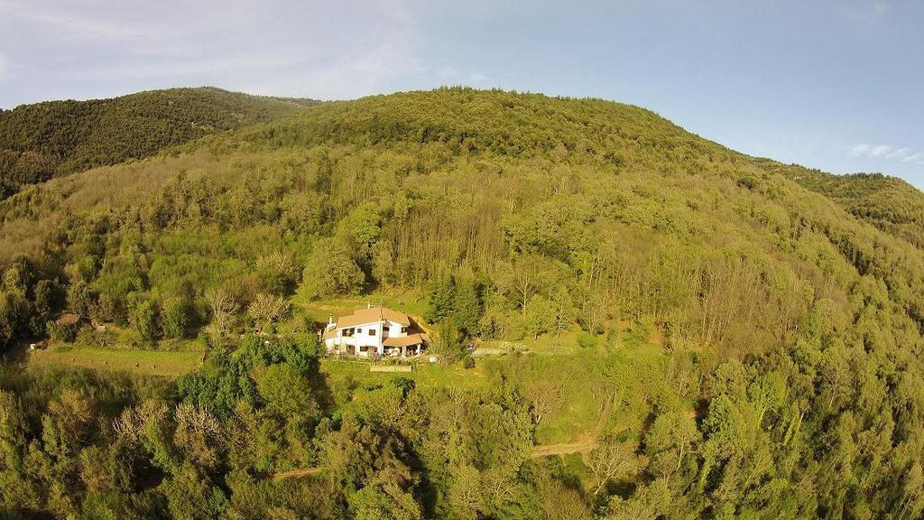 Mattale Villa Tonara Exterior foto